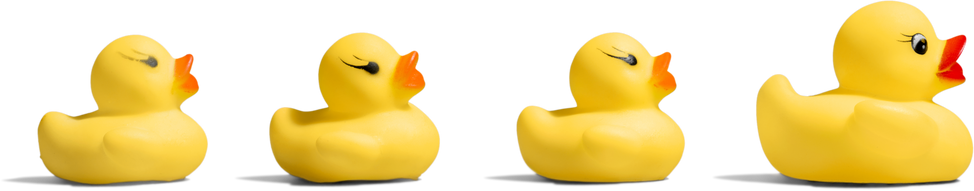 Rubber Ducks Family